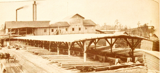 Hodge Sawmill and sorting shed. (1909)